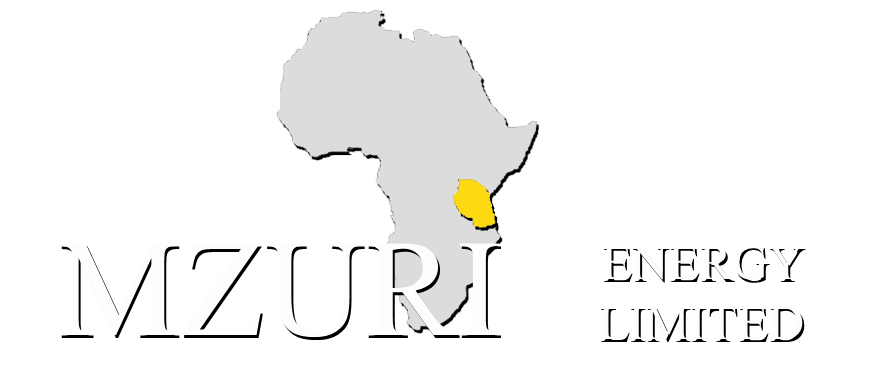 Mzuri Exploration Services